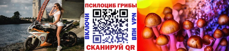 Галлюциногенные грибы Psilocybine cubensis  Южно-Сахалинск 